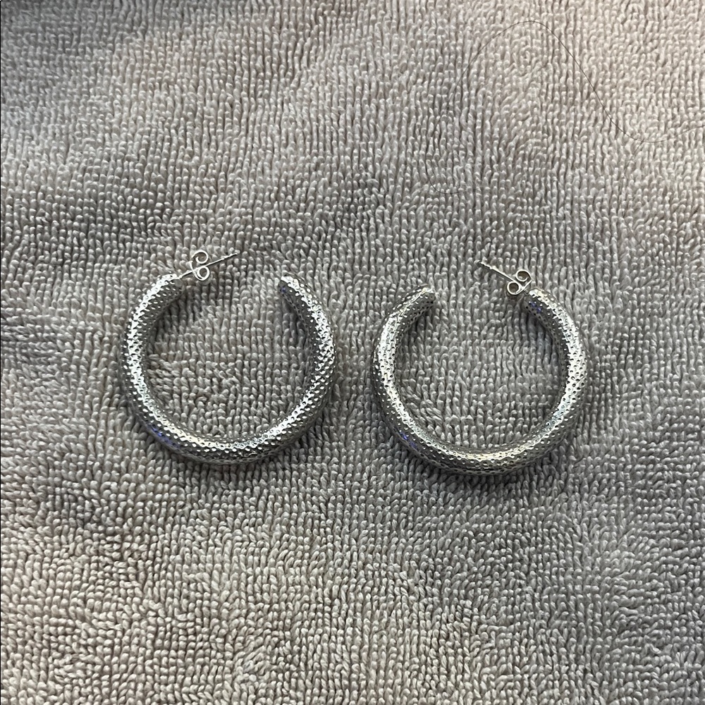 Elegant Silver Hoop Earrings